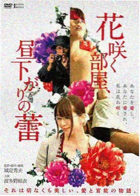 纪录片库尾的芦苇封面剧照